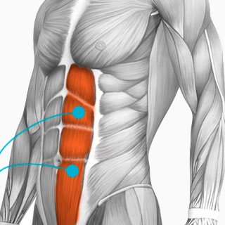 Electrostimulation Abdominaux & Fessiers