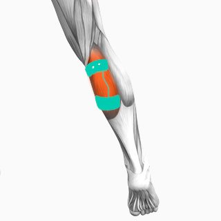 Électrostimulation : la solution pour renforcer vos jambes